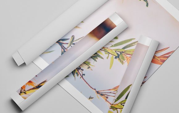 Download Rolled Canvas Mockup - Canvas mockup Collection